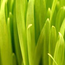 怎么简单攻击一个网站